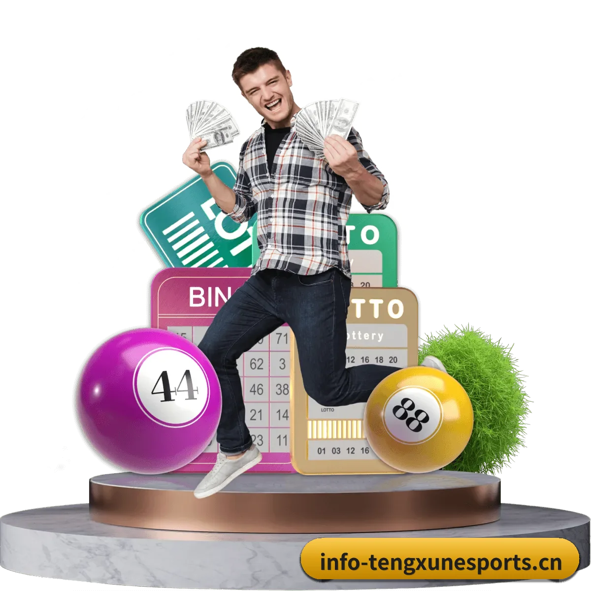每个板块围绕一个运动种类展开